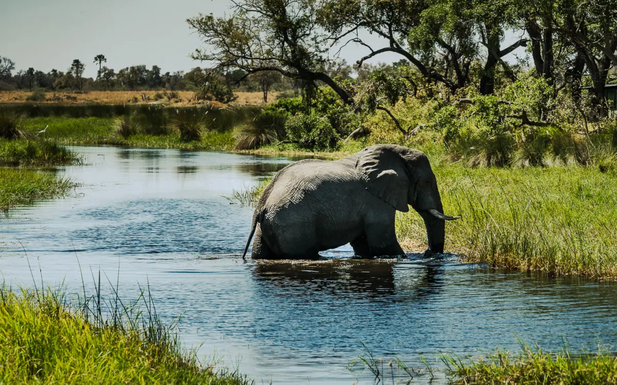 Botswana Reisetipps