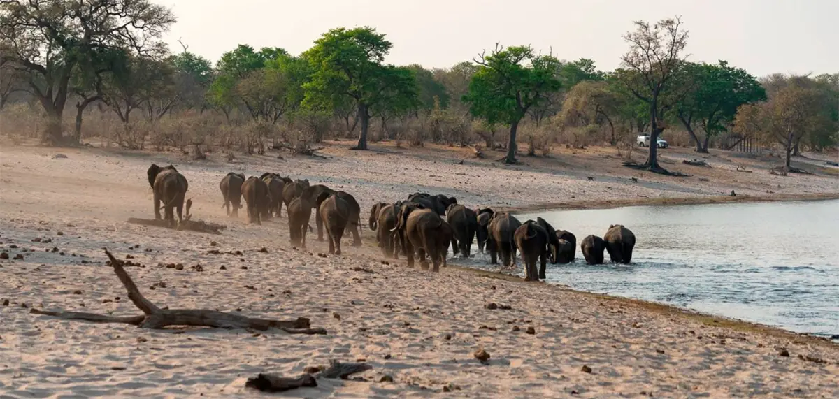 caprivi-namibia-bwabata-nationalpark