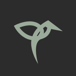 Besucher Kommentar von lowcost.club