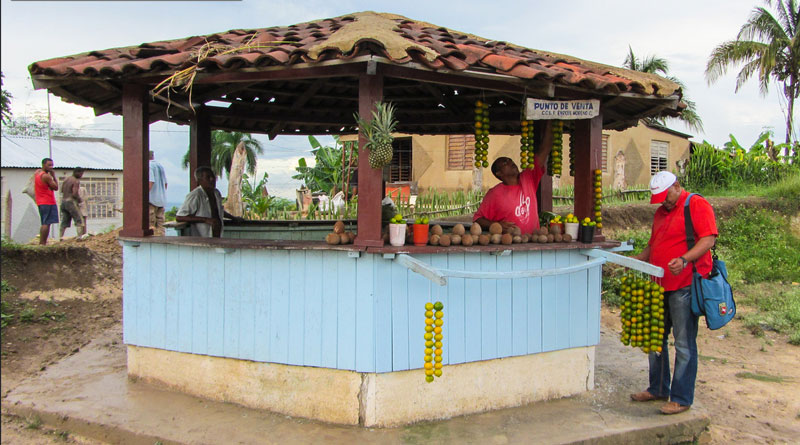Orangen- und Kokosnuss-Verkauf an der Straße nach Camagüey