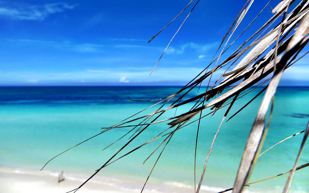 reiseplanung beste reisezeit