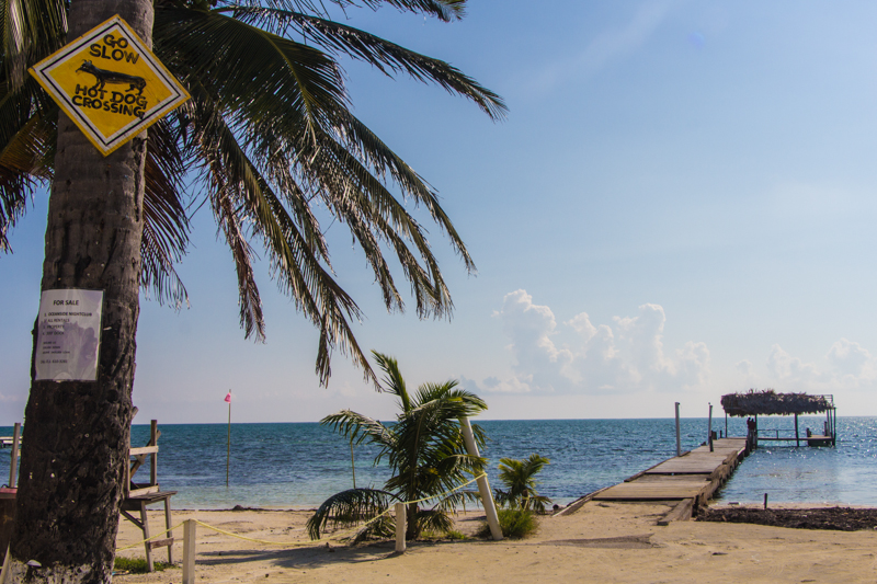 Belize Sehenswürdigkeiten: Insel für Backpacker Caye Caulker
