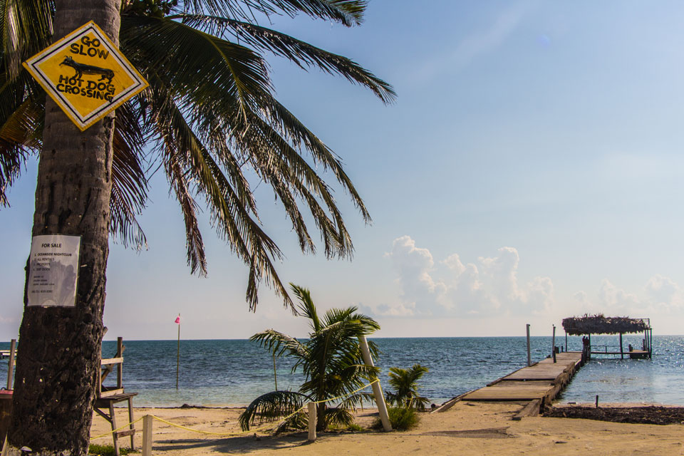 Caye Caulker Motto Go Slow