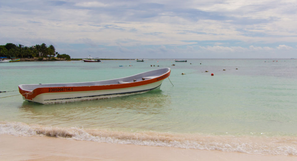 turtles_snorcheling_akumal