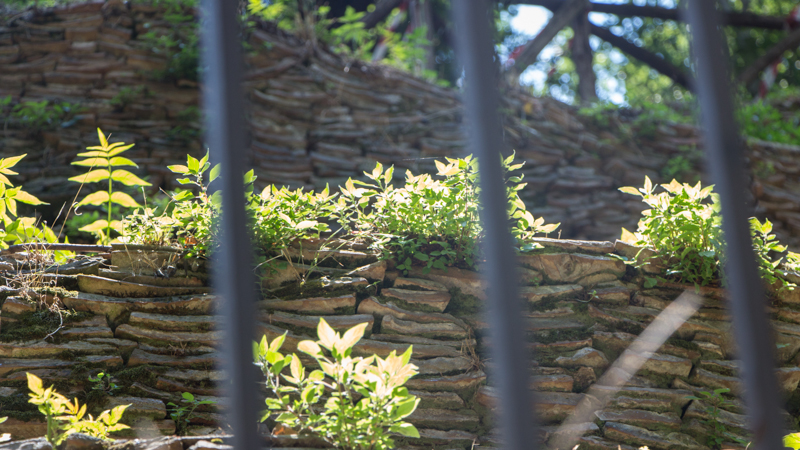 Monte Testaccio Rom Food Tour