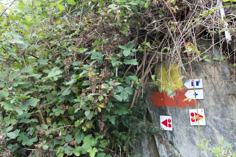 Belgische Ardennen wandern: tal der feen achouffe wandern