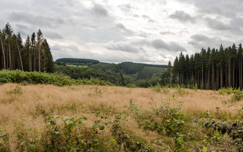 Belgische Ardennen Wandern Tal der Feen höchster Punkt