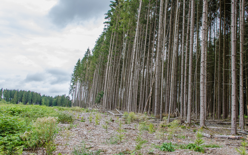 Belgische Ardennen Wandern Wallonien Tour