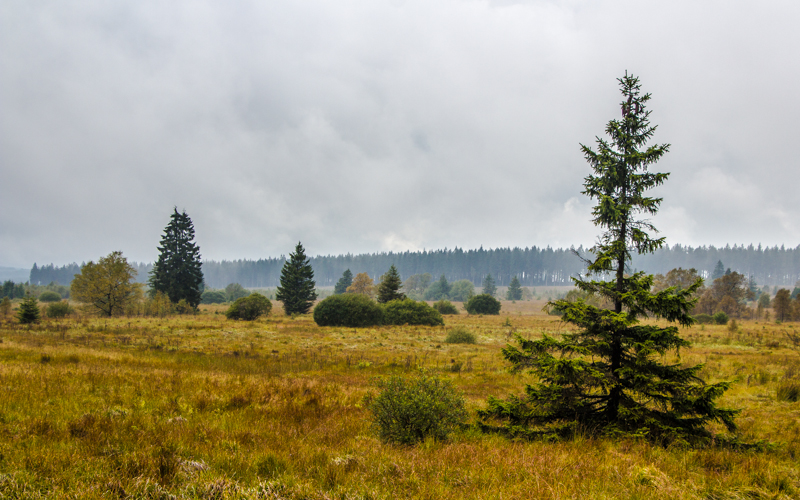 wandern in ostbelgien