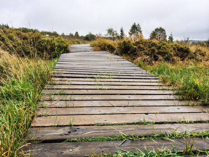 Holzstege zur Sicherheit Hohes Venn