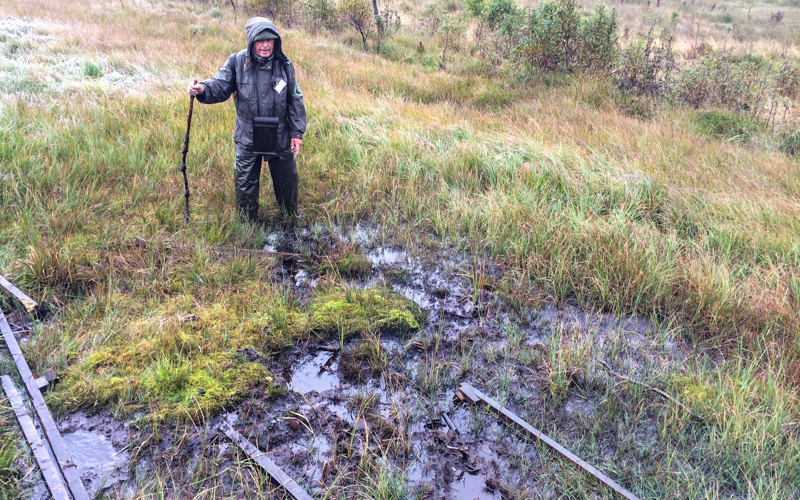 Ostbelgien Schwingmoor Erdboden