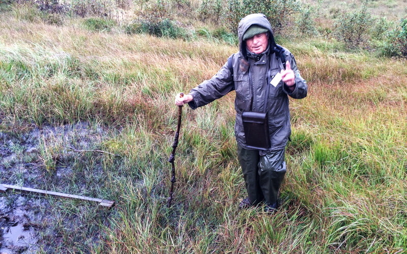 Schwingmoor Hohes Venn