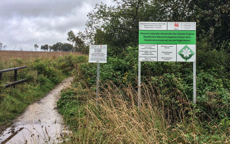 Rundwanderung Botrange Baraque Michel