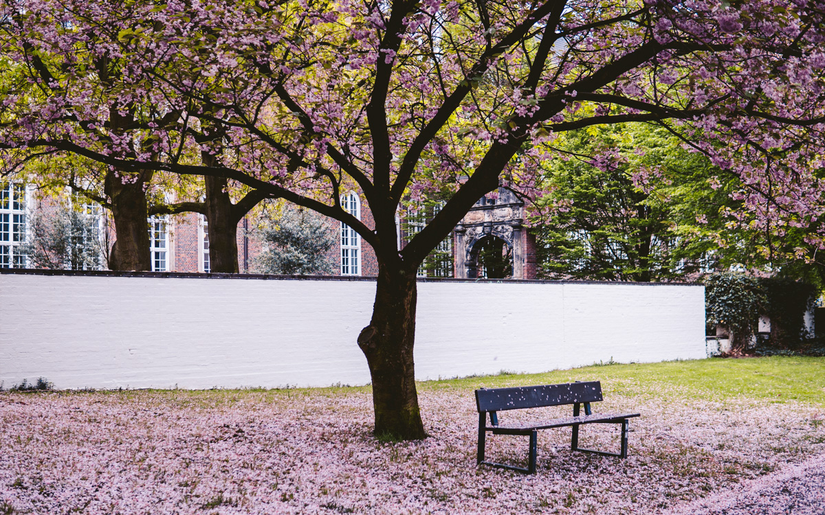 hamburg-insider-tipps-garten