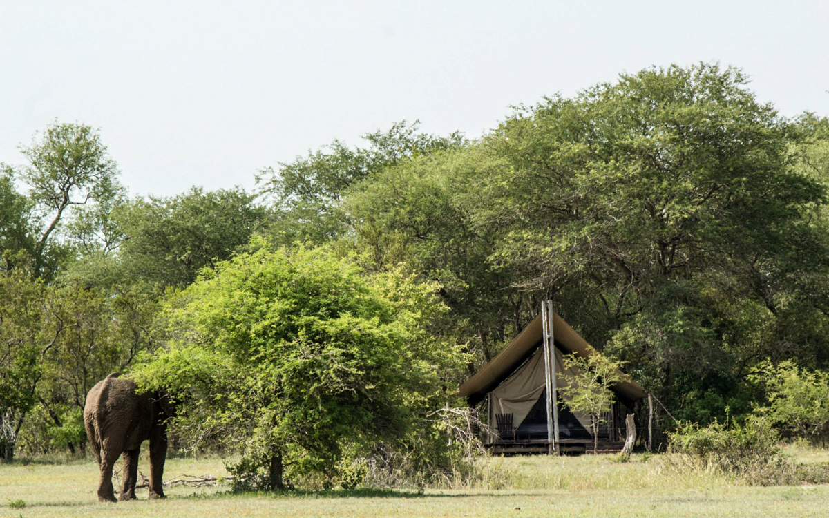 Plain Camp der Rhino Walking Tours.