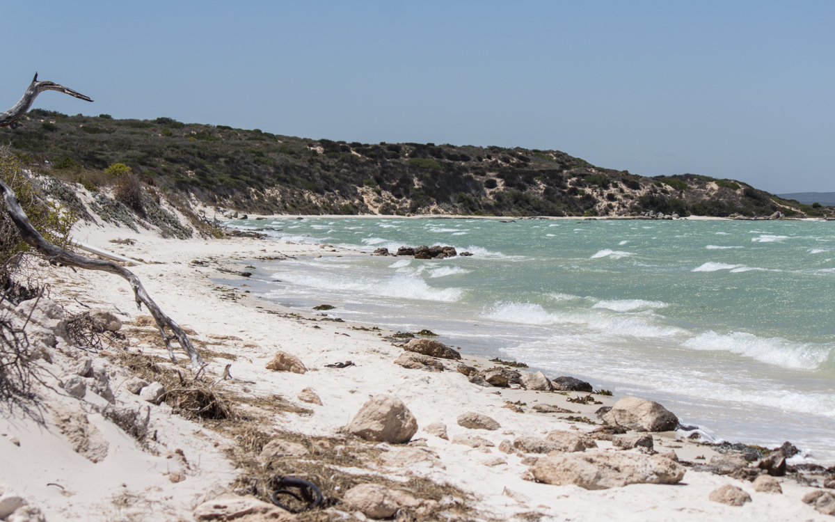 Langebaan Südafrika Hightlights