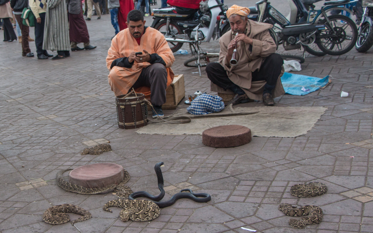 Djemma el Fna Schlangenbeschwörer