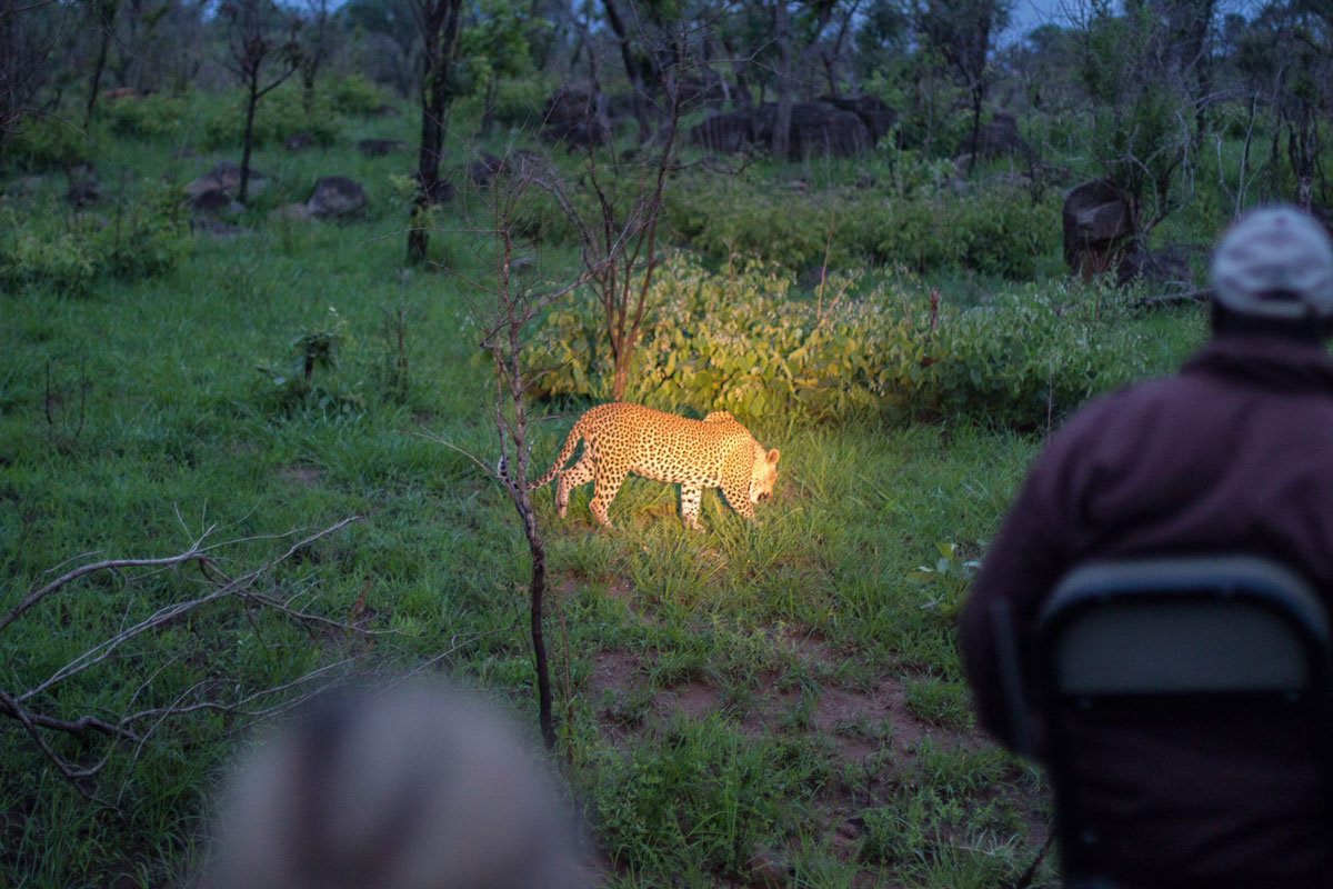Pirschfahrt Dunkelheit