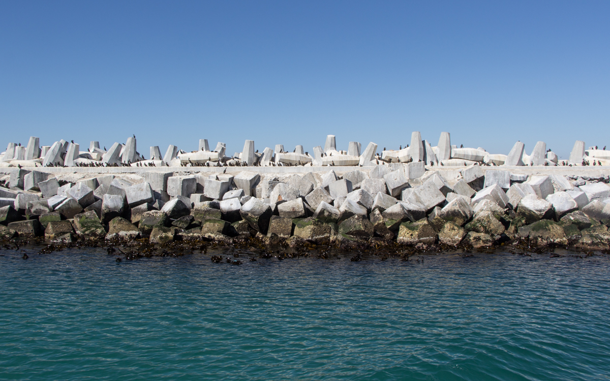 Robben Island Tour: Der Hafen in Robben Island