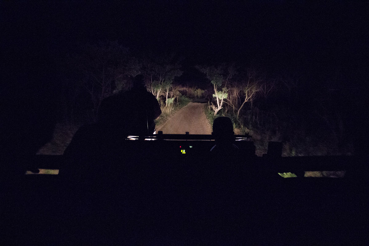 Sabi Sabi dunkelheit