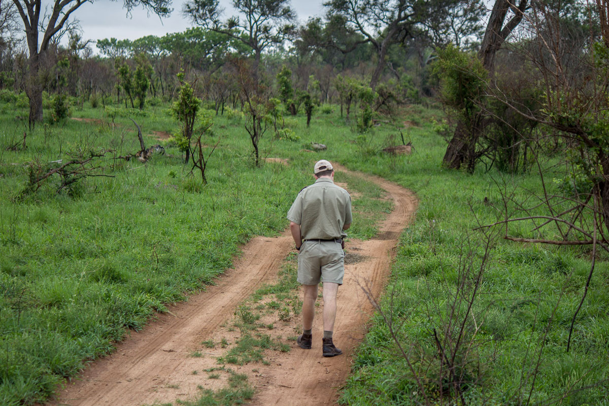 Marcus untersucht einen Dung von einem Löwen