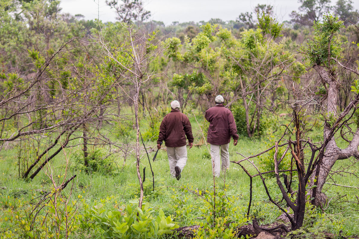 Die Tracker gehen nur mit Macheten bewaffnet auf Spurensuche. Waffen brauchen sie nicht. Sie sind hier aufgewachsen und haben keine Angst.