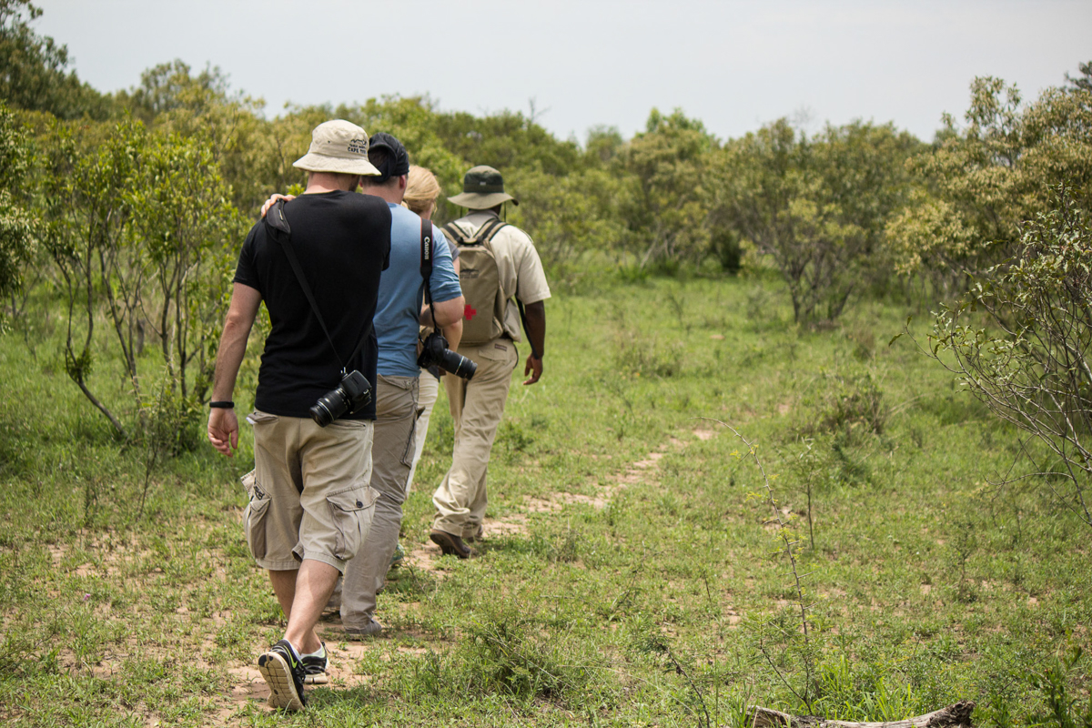 Walking Tour im Mkhaya Game Reserve