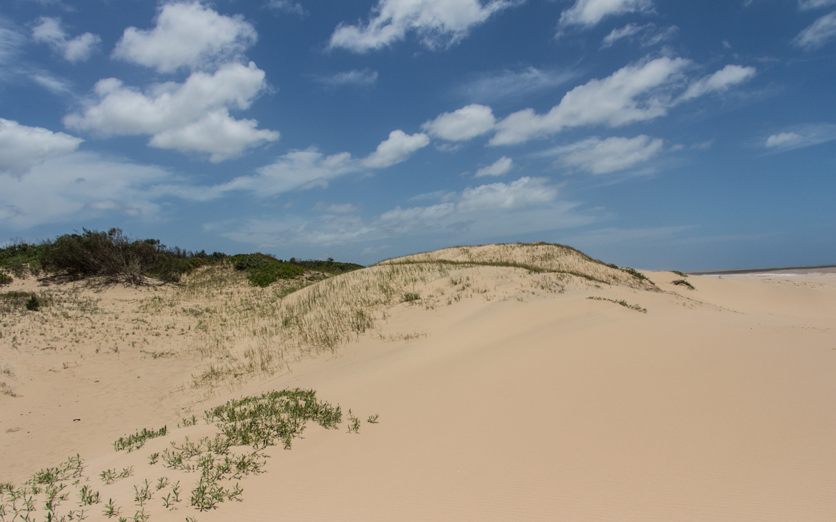 Südafrika Strand St. Lucia Beach