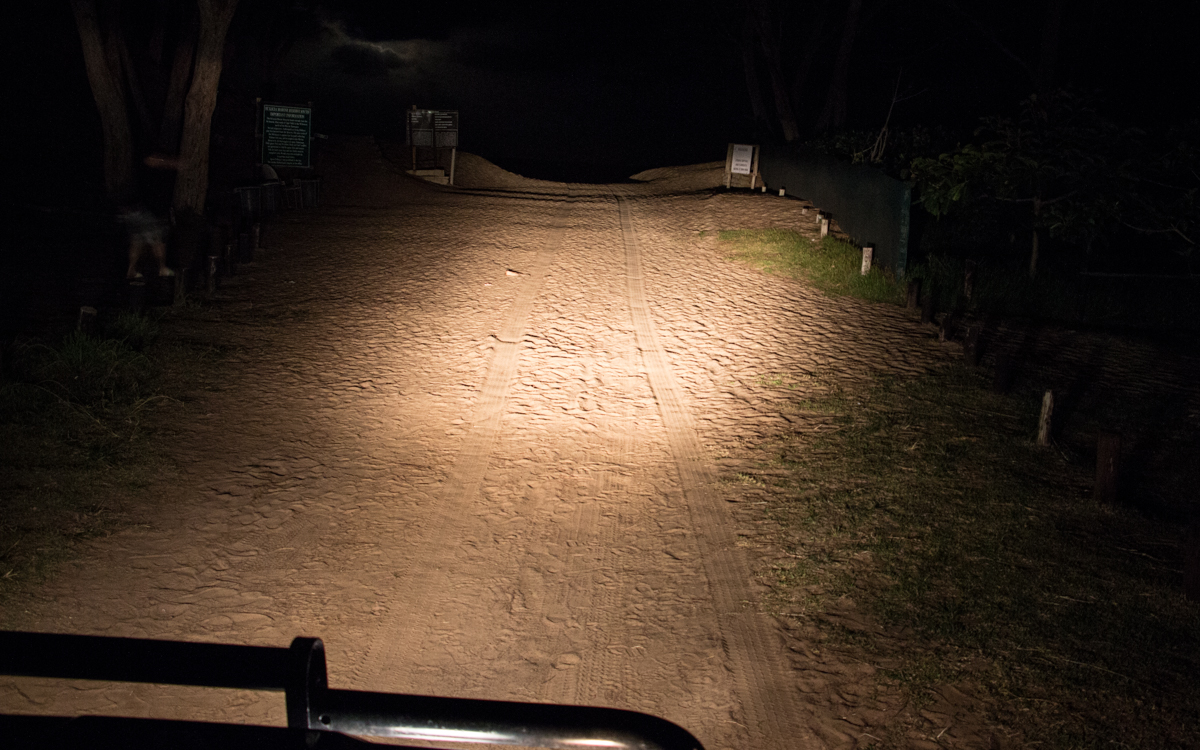 Cape Vidal Turtle Tour