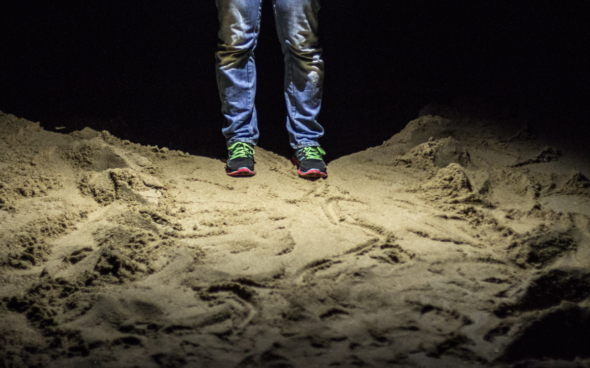 Spur der Lederrücken Schildkröte im iSimangaliso Wetland Park Südafrika
