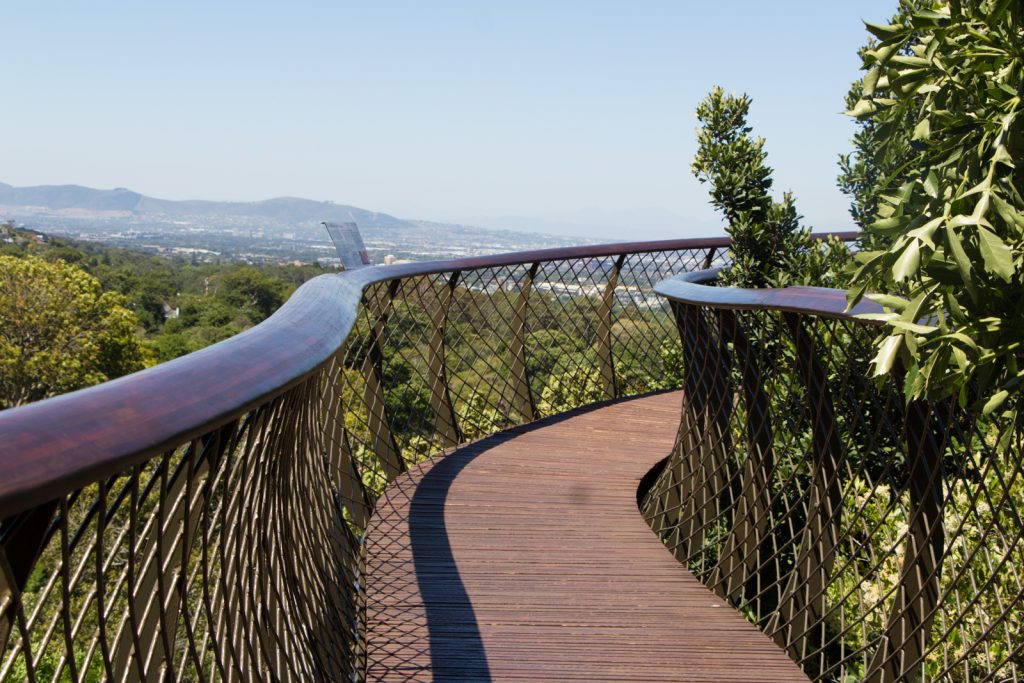 Baumwipfelpfad Kirstenbosch Kapstadt