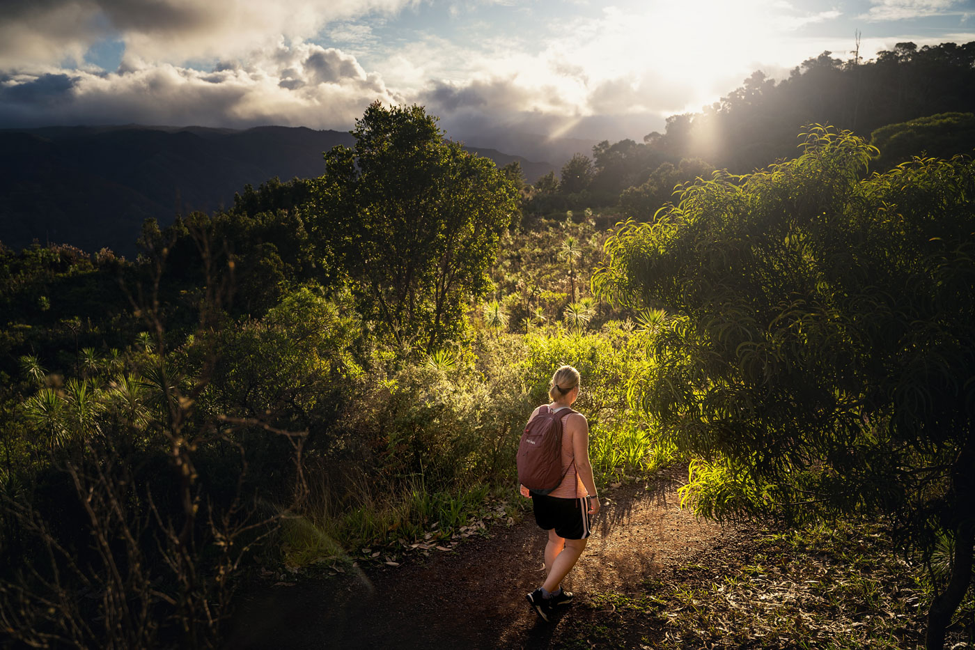 Tatonka City Pack Tagesrucksack