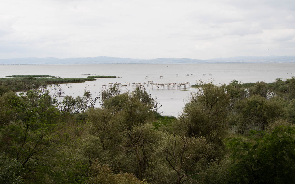 Nationalpark Kuş Cenneti Milli Parkı