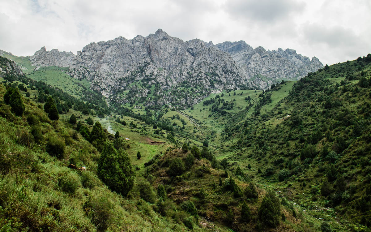 Grünes Kirgistan: Alai Mountains