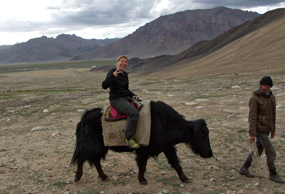 Yak reiten in Alichur Range Bashgumbez (Pamirgebirte)