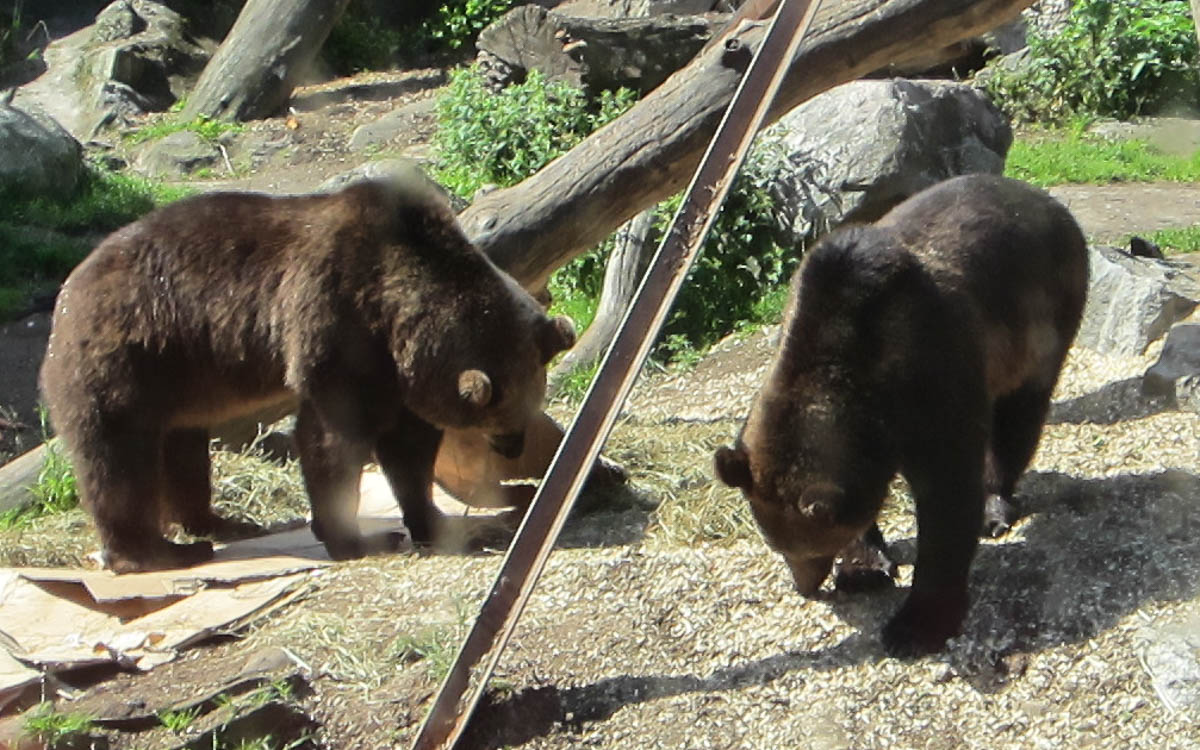 Skansen Freilichtmuseum Stockholm