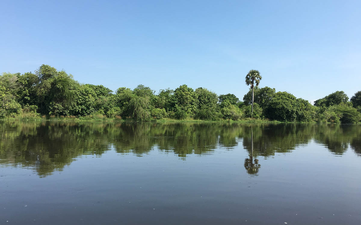 bootstour-delta-murchison-falls-natur