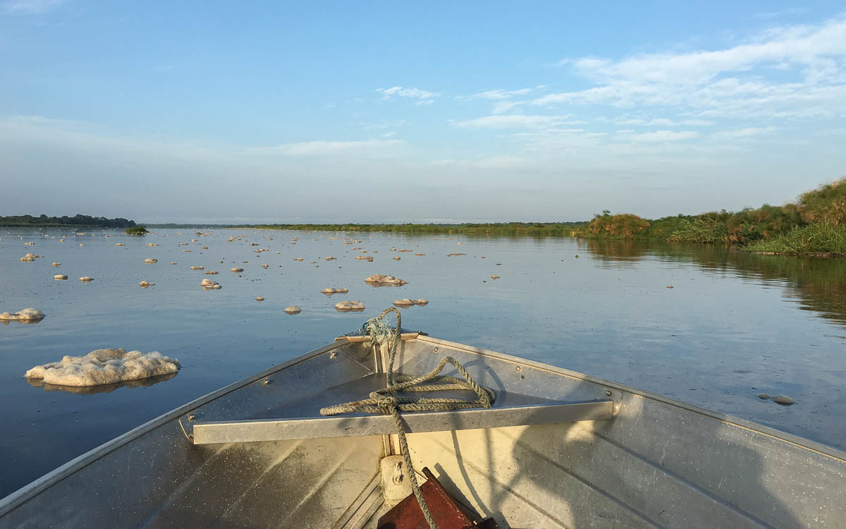 bootstour-delta-murchison-falls-sonnenaufgang