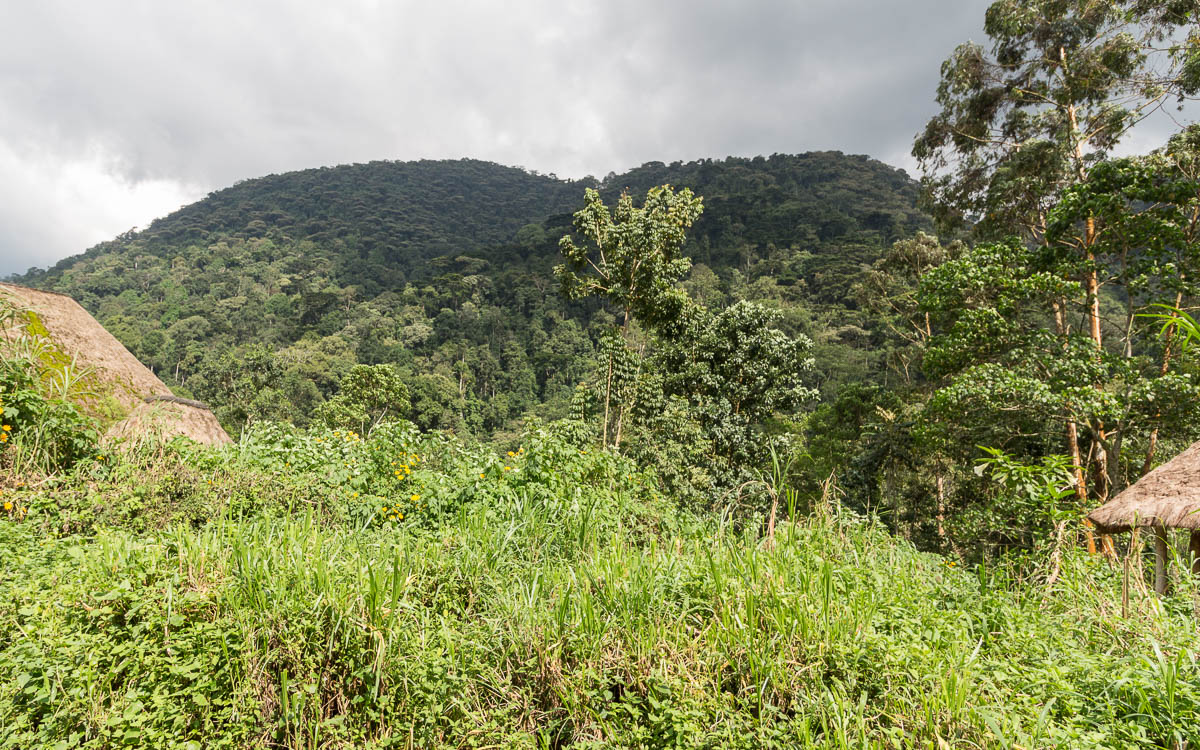 bwindi-nationalpark-buhoma-bwindi-lodge-2