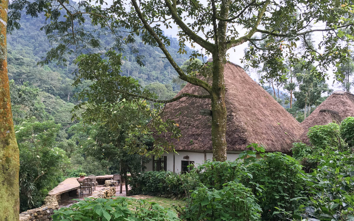 Blick auf das Haupthaus und den Bwindi Forest