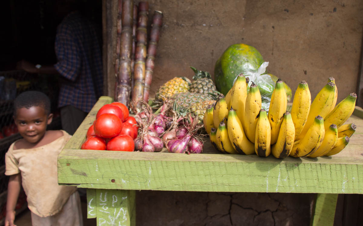 bwindi-nationalpark-buhoma-bwindi-lodge-45
