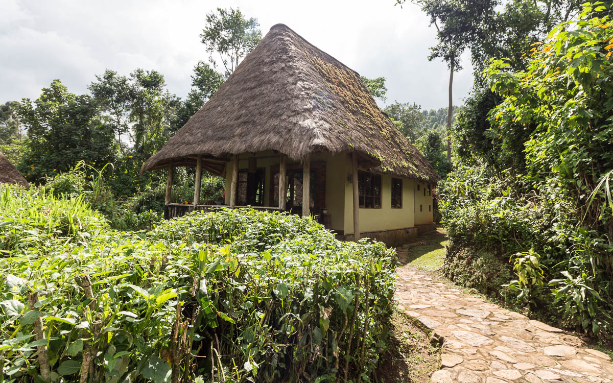 bwindi-nationalpark-buhoma-bwindi-lodge-bandana