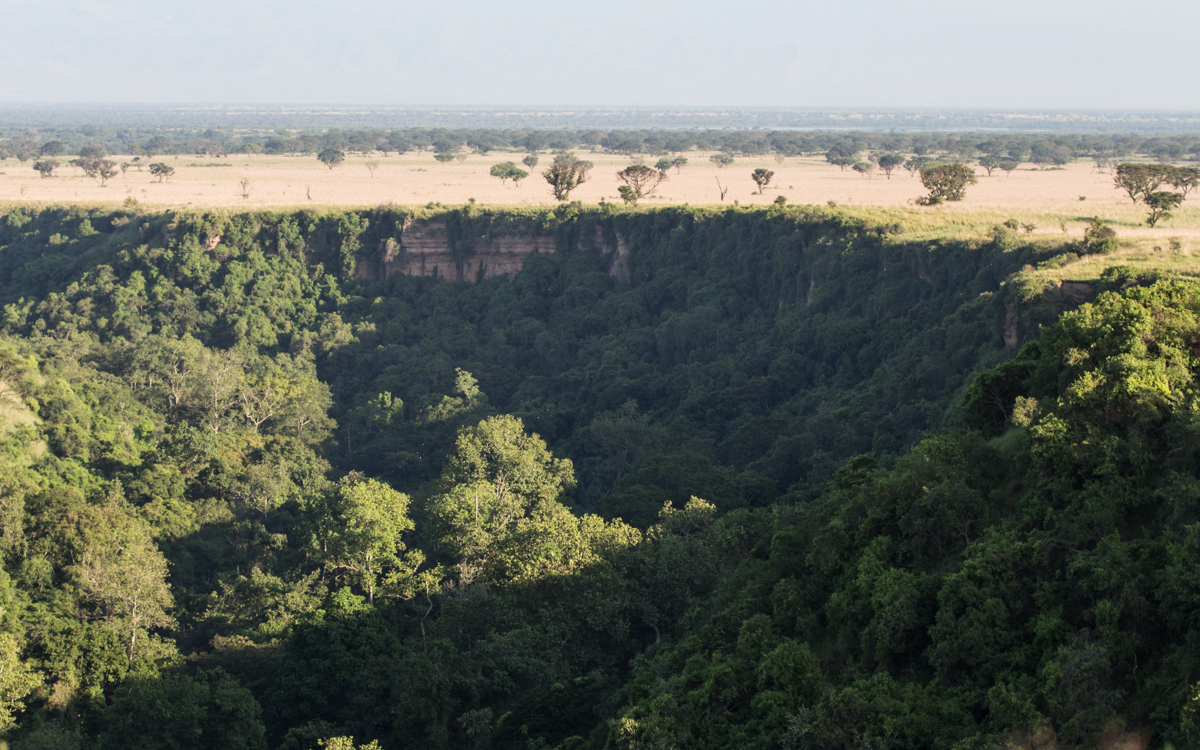 Schimpansen Trekking in Kyambura Gorge im QENP