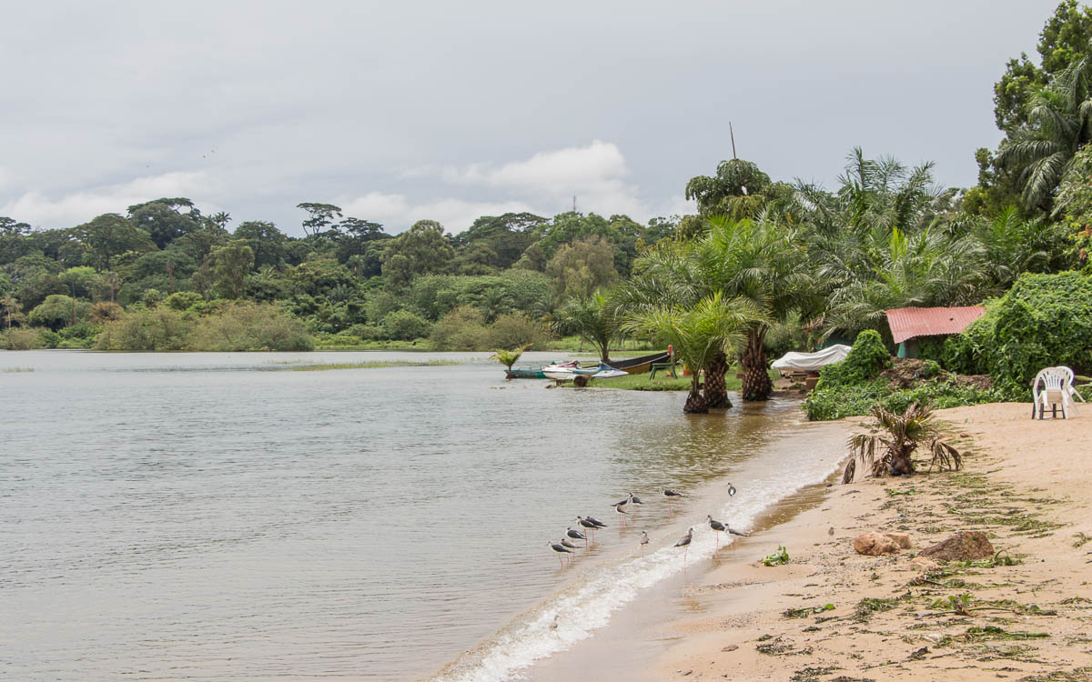 entebbe-lake-victoria