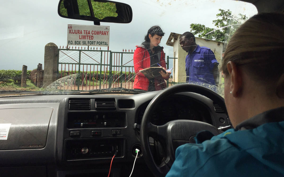 fort-portal-besuch-einer-teefabrik-registrierung