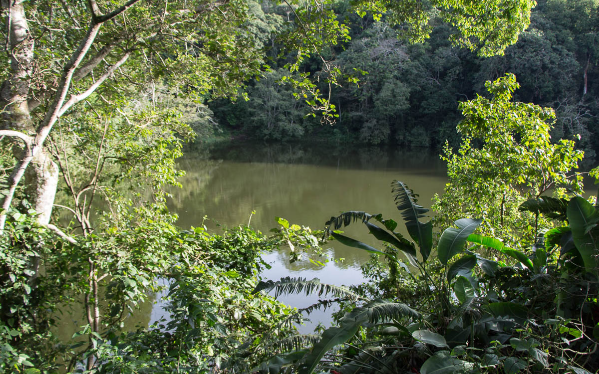 Ausblick auf einen der Crater Lakes bei Fort Portal