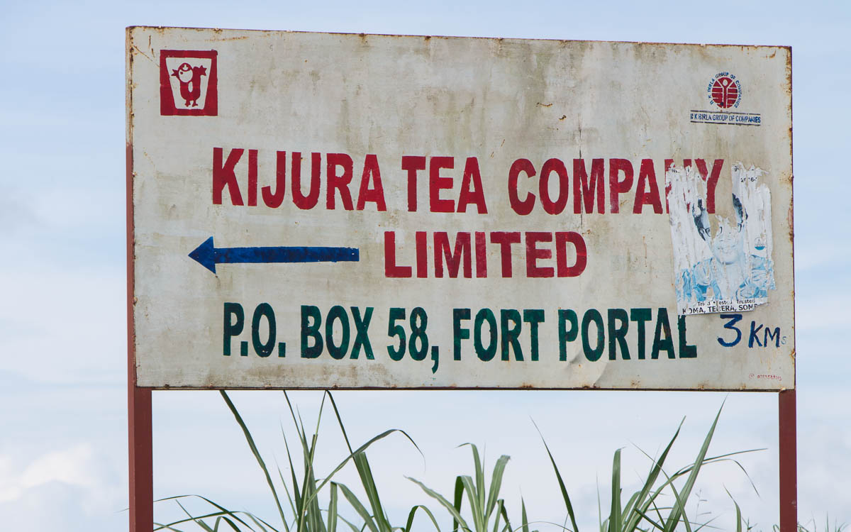fort-portal-kijura-tea-ompany-limited