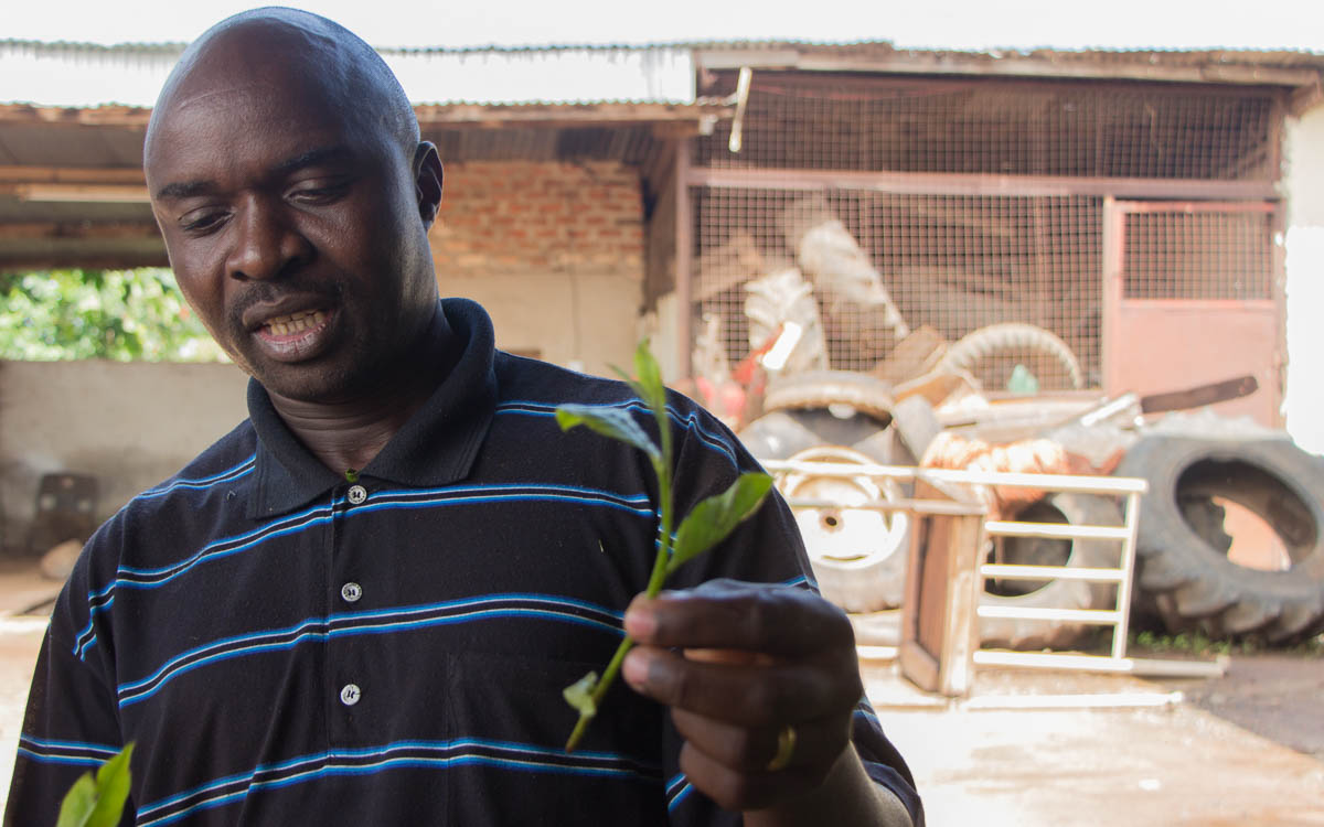 fort-portal-teefabrik-chef