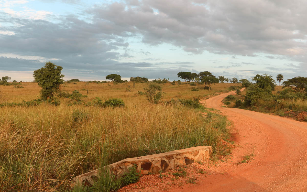 game-drive-murchison-falls-nationalpark-30