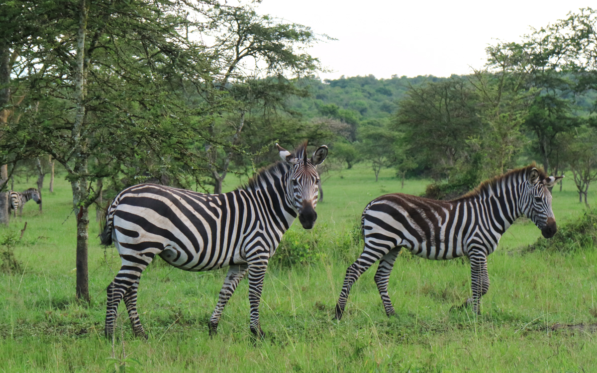 grenze-ruanda-uganda-28